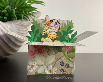 Pretty Cat Box Card. The Original Cat in a Box card. Blank or personalised; thank you card, Mother’s Day card, birthday. Gift card holder.