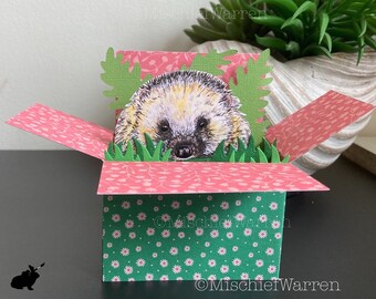 Hedgehog Card. 3D Box Card Personalised or blank; Birthday, Mothers or Father’s Day, Thank you. Unique Gift card holder.