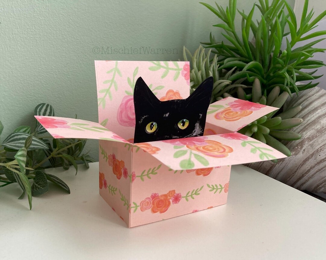 Black Cat Card; the Original Cat in a Box Card. Valentines, Birthday ...