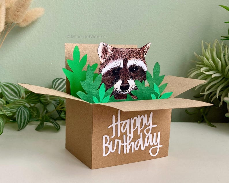 Pu&ograve; includere: Un biglietto di compleanno pop-up marrone con un procione che sbuca da dietro foglie di carta verdi. Il biglietto ha la forma di una scatola e presenta la scritta "Happy Birthday" in corsivo bianco.