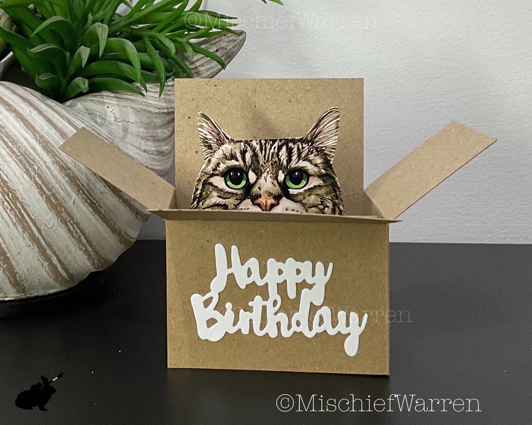 Tabby Cat Birthday Card. the Original Cat in a Box Card. Happy Birthday ...