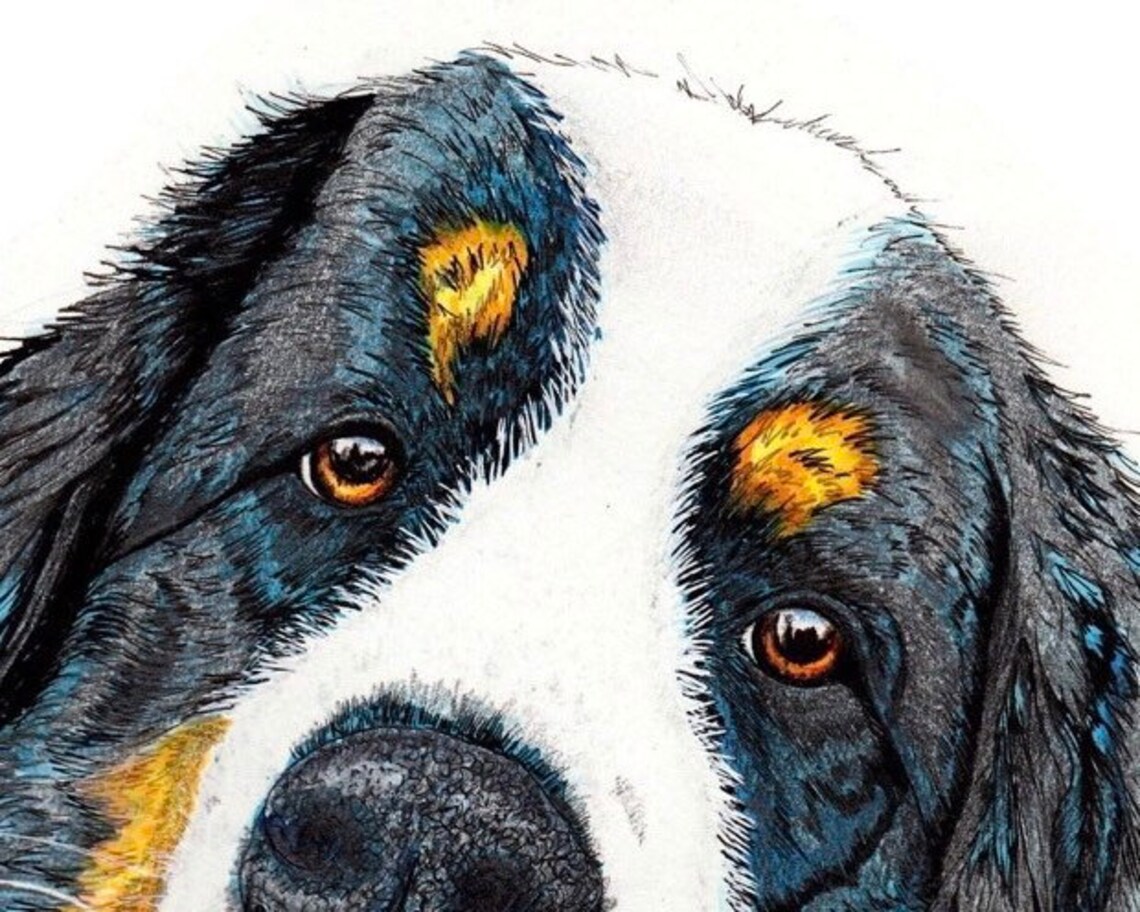 Berner Berg Hund Kunstdruck von meinem Aquarell-Malerei ...
