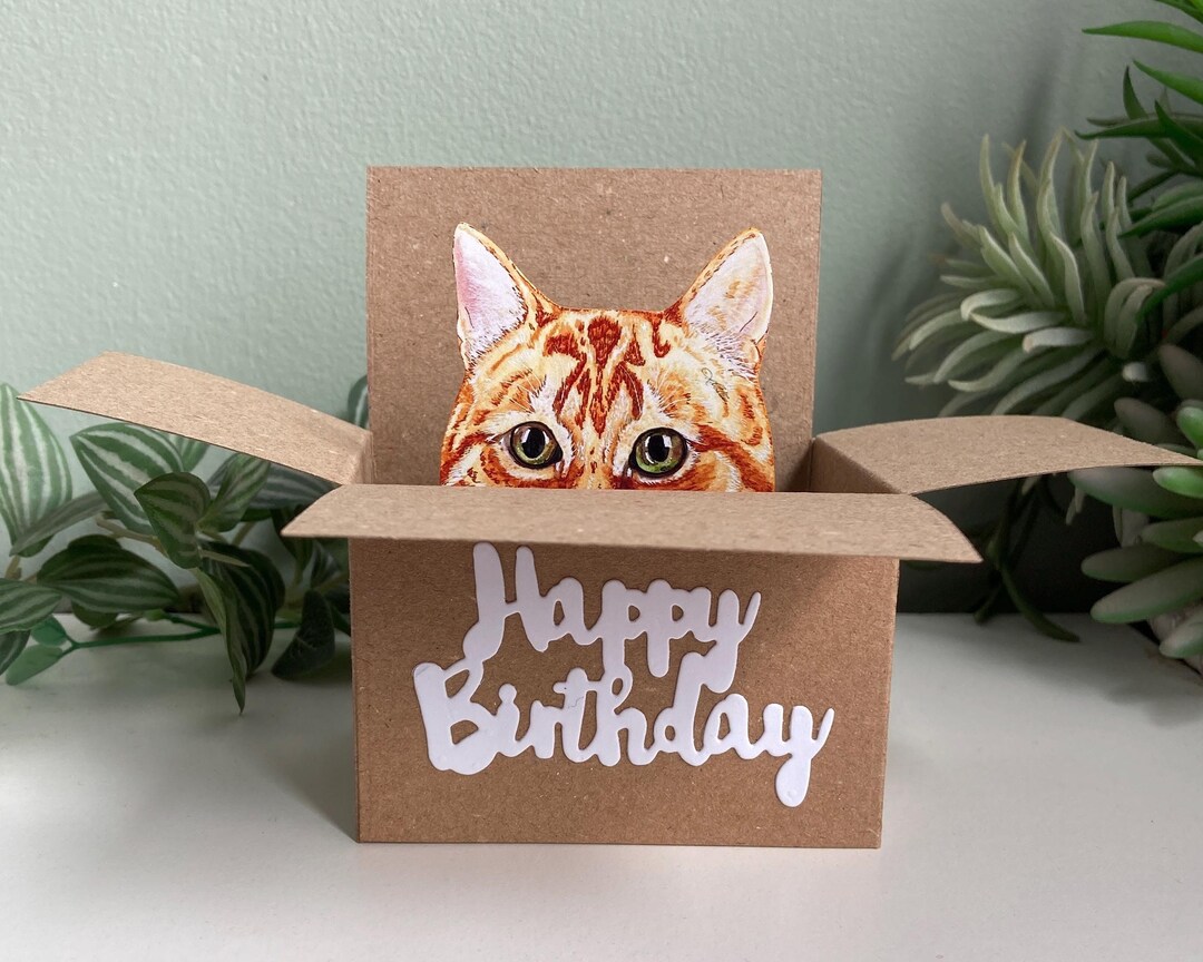 Ginger Cat Birthday Card: Handmade Recycled Box. Gift Card Holder for ...