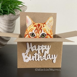 Ginger Cat Happy Birthday Box Card. The Original Cat in a box card. Handmade from recycled card. Gift card holder.