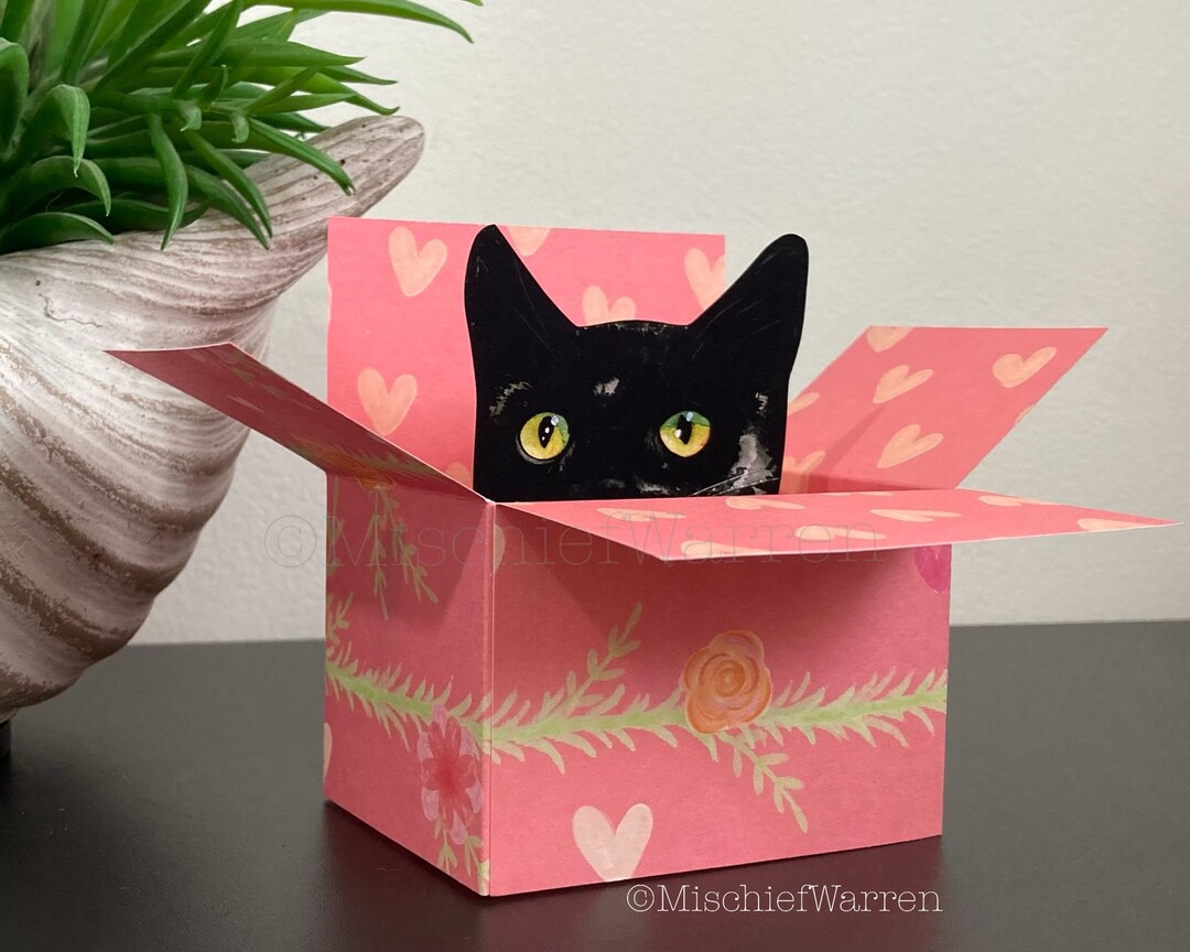 Black Cat Card. the Original Cat in a Box Card. 3D Mothers Day or ...