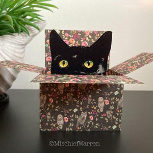 Carte de chat noir. Le chat original dans une boîte. personnalisé ; anniversaire, fête des mères, merci. Chouette et minou. Porte-cartes cadeau 3D.