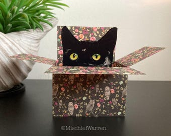 Black Cat Card. The Original Cat in a box card. Personalised; birthday, Mother’s Day, thank you. Owl and Pussycat. 3D Gift card holder.