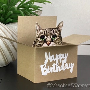 Tabby Cat Birthday Card; the Original Cat in a Box Card. 3D Gift Card ...