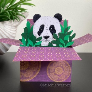 Panda Karte. 3D Box Karte. Blank oder personalisiert; Danke, Geburtstag, Muttertag, Vatertag. Geschenkkartenhalter.