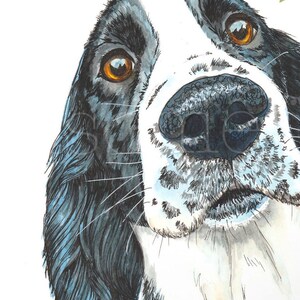 Spaniel Dog Art Print. Black and White Springer or Cocker Spaniel Print ...