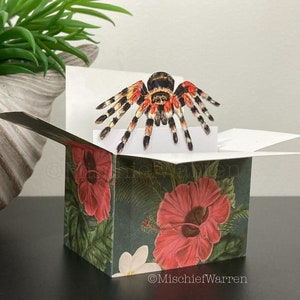 Carte boîte 3D tarentule. Vierge ou personnalisée ; anniversaire, carte de fête des mères, carte de fête des pères, porte-cartes cadeau de Pâques pour les amoureux des araignées.