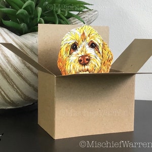Gold Cockapoo labradoodle Box Card. 3D Blank or Personalised; birthday, mothers or Father’s Day, Christmas. Gift card holder.
