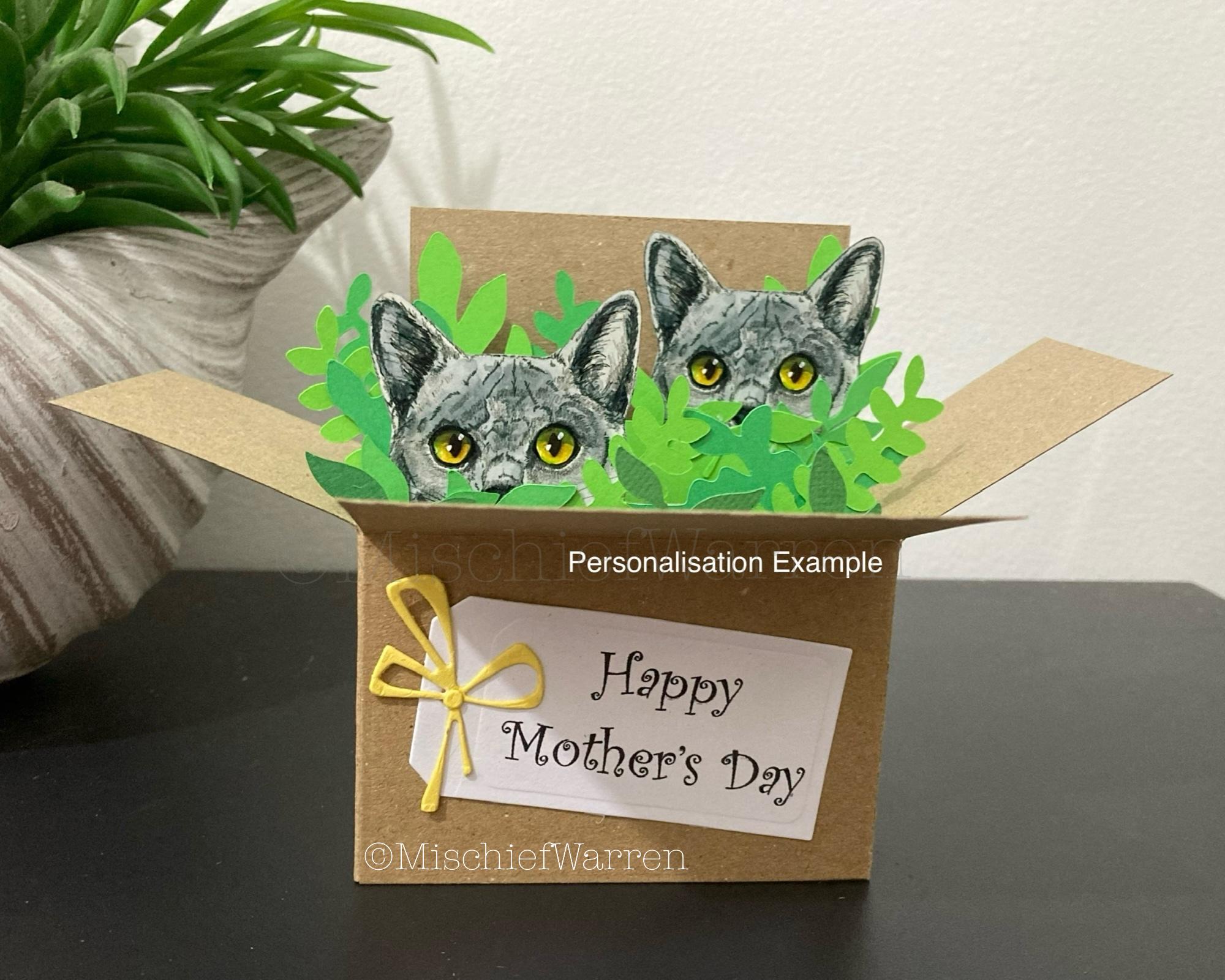 Custom Cats in a Box Card: Handmade, Personalised Gift Card Holder. - Etsy