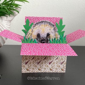 Karte Igel. 3D Box Card personalisiert oder leer; Geburtstag, Mutter- oder Vatertag, vielen Dank. Einzigartiger Geschenkkartenhalter.