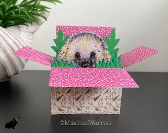 Hedgehog Card. 3D Box Card Personalised or blank; Birthday, Mothers or Father’s Day, Thank you. Unique Gift card holder.