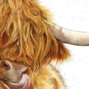 Puede incluir: Una pintura de acuarela de una vaca Highland con un largo pelaje marr&oacute;n y dorado. La lengua de la vaca est&aacute; fuera y su cuerno es visible.