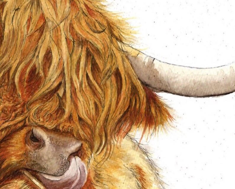 Puede incluir: Una pintura de acuarela de una vaca Highland con un largo pelaje marr&oacute;n y dorado. La lengua de la vaca est&aacute; fuera y su cuerno es visible.