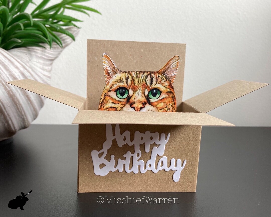 Tabby Cat Birthday Card. 3D Cat in a Box Gift Card Holder - Etsy UK