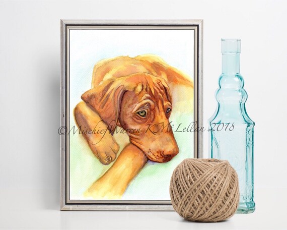 Hungarian Viszla Dog Art Card handmade from my watercolour painting thank you or just because. get well Blank for birthday