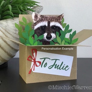 Cute Raccoon 3D Box Card. Blank or personalised for any occasion; Birthday, Fathers Day, Christmas. Racoon Gift card holder.