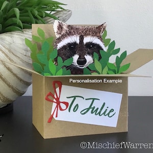 Cute Raccoon 3D Box Card. Blank or personalised for any occasion; Birthday, Fathers Day, Christmas. Racoon Gift card holder.