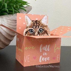 Brown Tabby Cat Card. 3D box card, blank or personalised. Valentines, Wedding, Anniversary Gift card holder. The Original Cat in a box card.