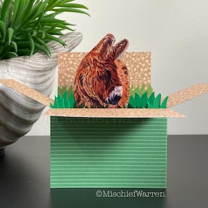 Baudet du Poitou Donkey Card. Personalised 3D box card; Birthday, Easter, Mothers day, Fathers Day, Christmas. Gift card holder.