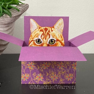 Carte de chat au gingembre. La carte originale Le chat dans une boîte. Carte boîte 3D personnalisée pour anniversaire, fête des mères, merci. Porte-cartes cadeau.