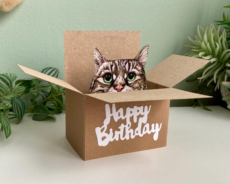 Tabby Cat Birthday Card; the Original Cat in a Box Card. 3D Gift Card ...