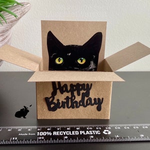 Carte d'anniversaire de chat. Le chat original dans une boîte. Vous pouvez ajouter votre message ou le porte-cartes cadeau et envoyer directement. image 4