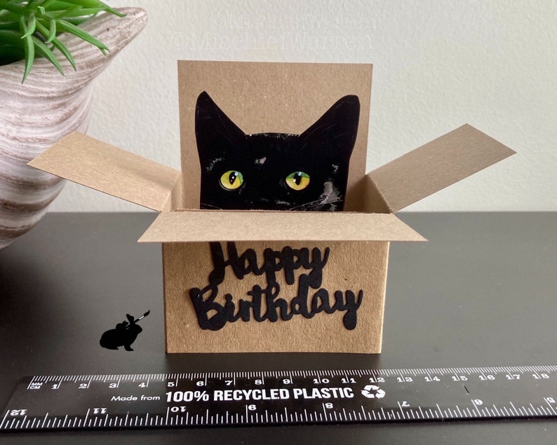Black Cat Happy Birthday Card. The Original Cat in a box card. Can add your message, or gift card holder and send direct. image 4