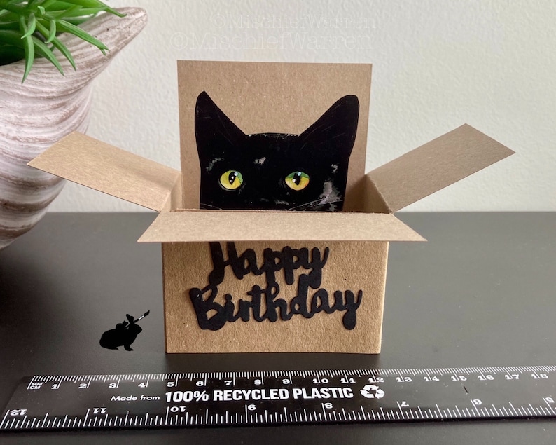 Carte d'anniversaire de chat. Le chat original dans une boîte. Vous pouvez ajouter votre message ou le porte-cartes cadeau et envoyer directement. image 4