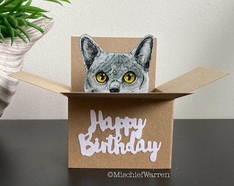 Carte joyeux anniversaire chat gris. Le chat original dans une boîte. Vous pouvez ajouter votre message ou le porte-cartes cadeau et envoyer directement.