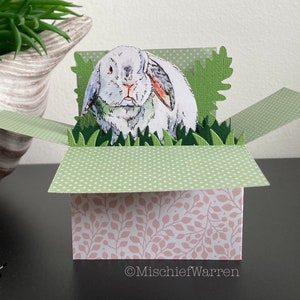 Rabbit Card. White Dwarf Lop Rabbit 3D Box Card for bunny lover. Blank or Personalised for; birthday, Easter, Mother’s Day Gift card holder.