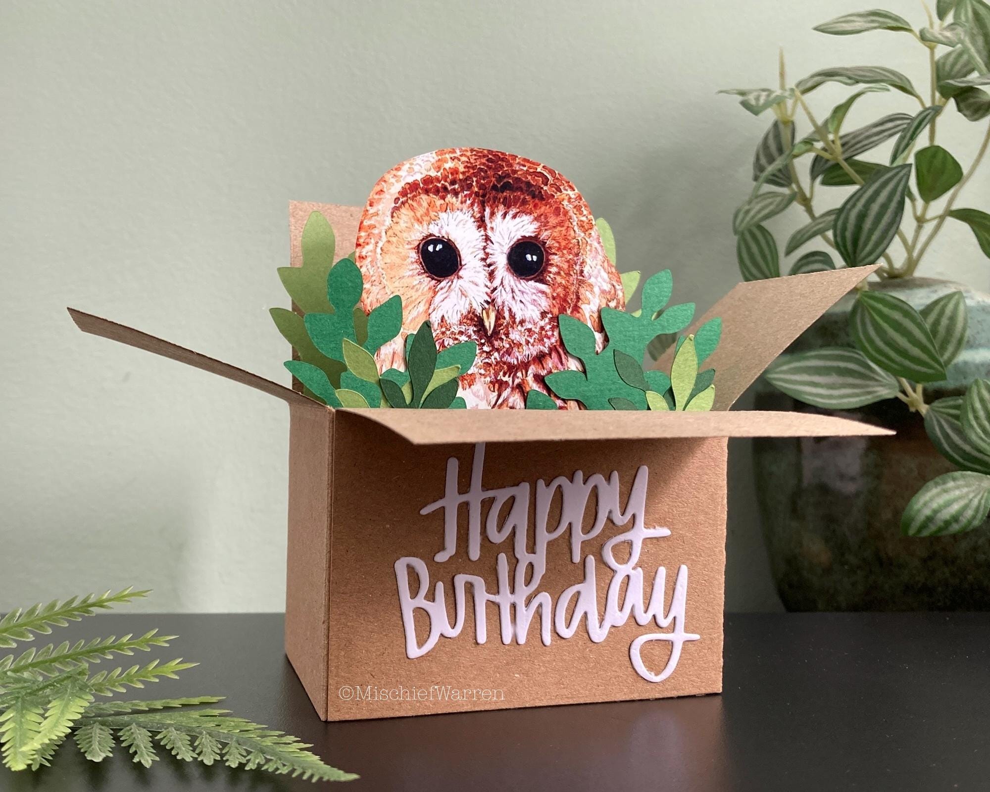 Owl Card, Personalised or blank box card. Owl lover or birdwatcher gift card holder.