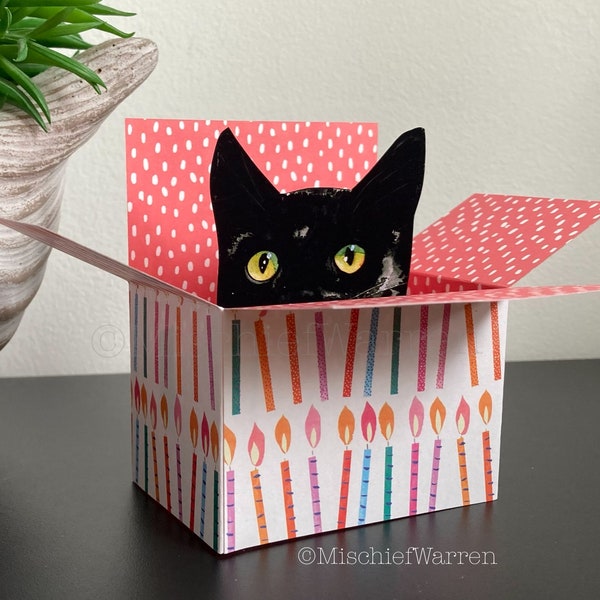 Black Cat Birthday Card. The Original Cat in a Box Card. Can be sent direct. 3D Birthday Gift card holder. Card from cat.