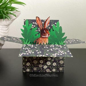 Carte de lièvre. Carte 3D Box, vierge ou personnalisée ; Anniversaire, Pâques, Fête des mères, Fête des pères, Noël. Porte-cartes cadeau.