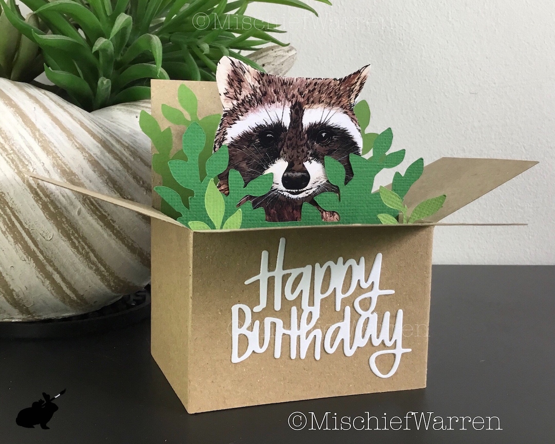 Raccoon Happy Birthday Box Card. Handmade From Recycled Card. 3D