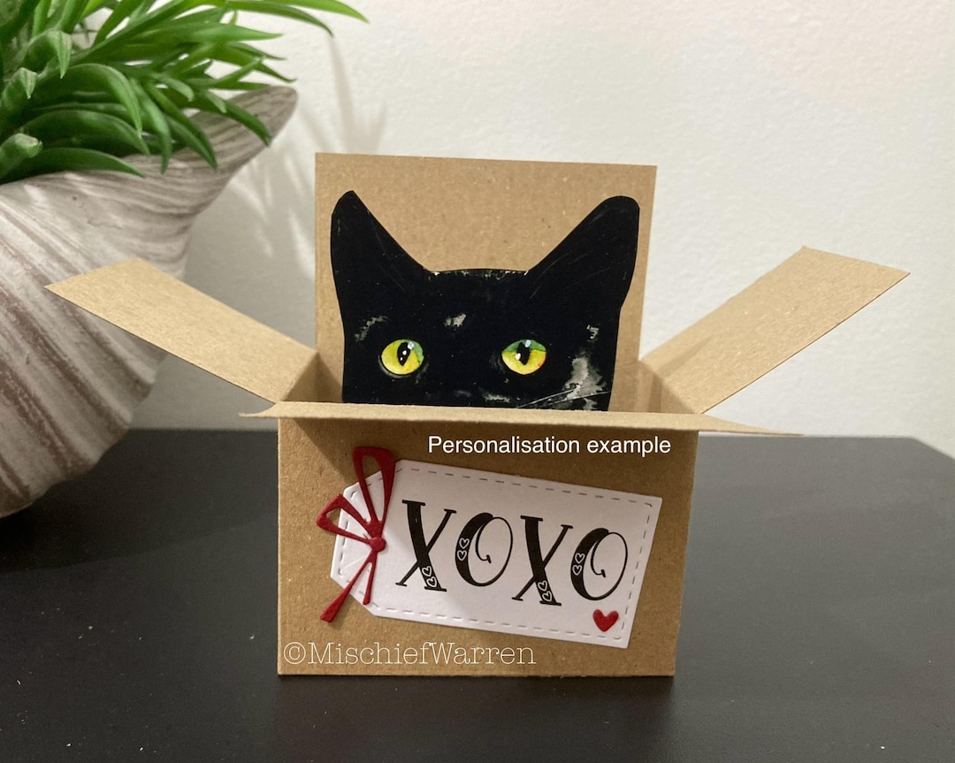 Black Cat Personalised Box Card. the Original Cat in a Box Card ...