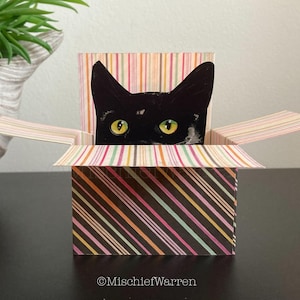Black Cat Card. The Original Cat in a Box Card. 3D Blank or Personalised cat card for; birthday, mothers Day, thank you. Gift card holder.