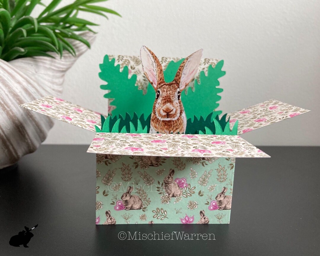 Brown Rabbit Card. Personalised 3D Box Rabbit Card For; Birthday ...