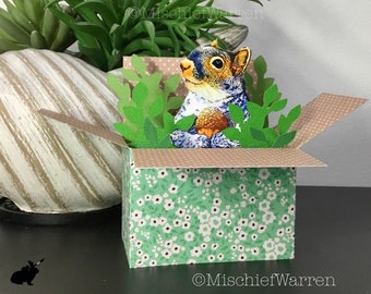 Grey Squirrel 3D Box Card. Personalised blank for any occasion; Birthday, Mothers or fathers day or Christmas. Gift card holder.