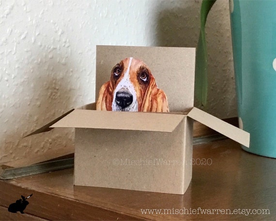 box hound dog