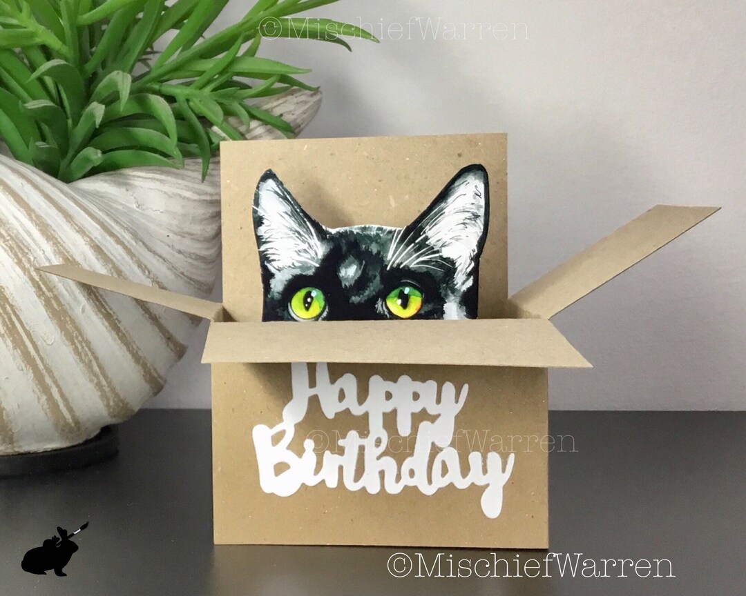 Black White Cat Birthday Card. the Original Cat in a Box Card. 3D Gift ...