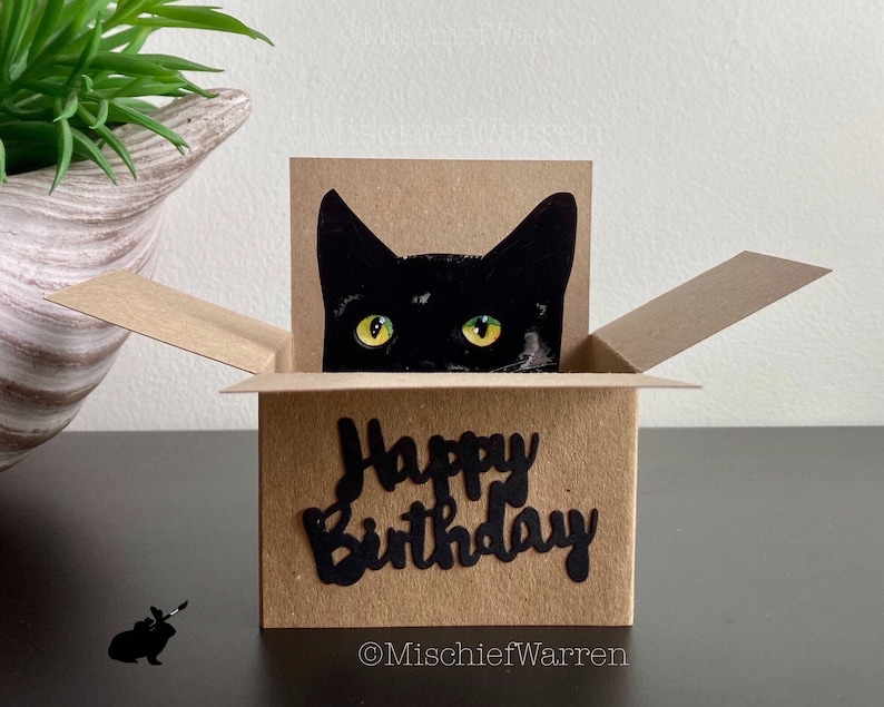 Black Cat Happy Birthday Card. The Original Cat in a box card. Can add your message, or gift card holder and send direct. image 1