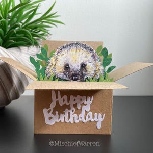 Igel-Geburtstags-Karte. 3D Geburtstagskarte. Geburtstagsgeschenk Kartenhalter für Wildlife Naturliebhaber.