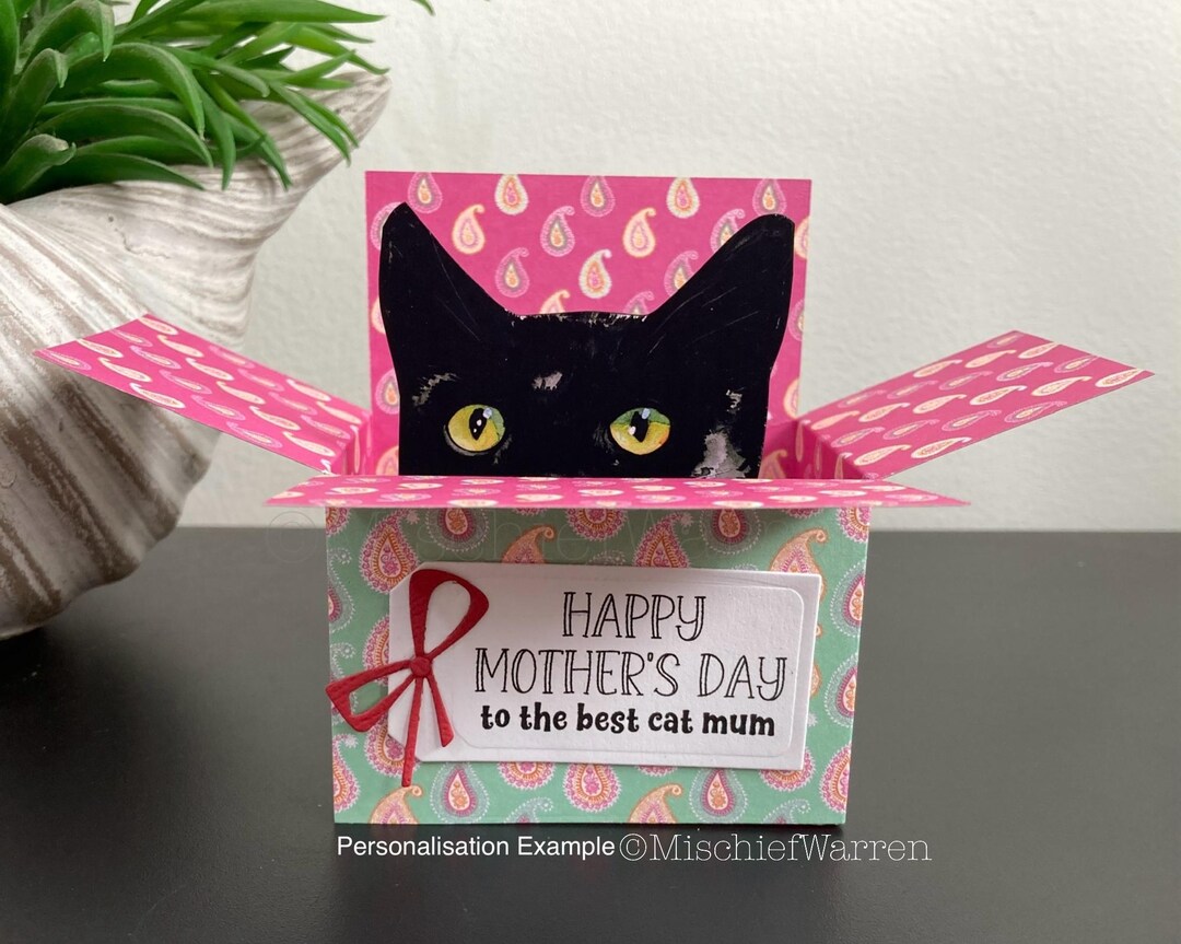 Black Cat Mother's Day Card. the Original Cat in a Box Card. 3D ...