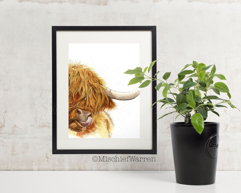 Puede incluir: Una pintura de acuarela de una vaca Highland con un largo pelaje hirsuto de color marr&oacute;n y blanco. La vaca est&aacute; mirando hacia un lado y tiene la lengua fuera. La pintura est&aacute; enmarcada en un marco negro.