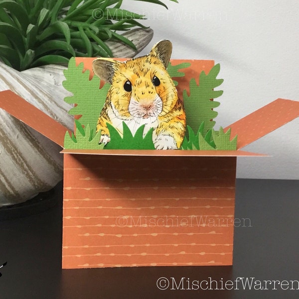 Hamster box Card. Blank 3D card or personalised for birthday, Easter, Mother’s Day, Father’s Day, Christmas. Gift card holder.