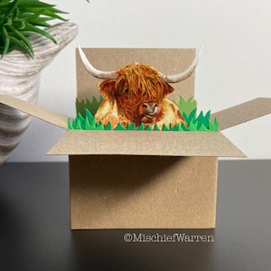 Carte vache Highland. Carte boîte 3D personnalisée pour ; Anniversaire, Pâques, Fête des Mères, Fête des Pères, Noël. Porte-cartes cadeau.